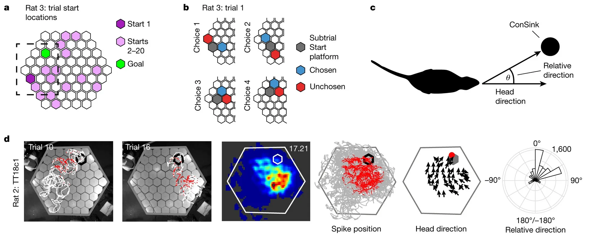 Hippocampal place cells have goal-oriented vector fields during navigation.