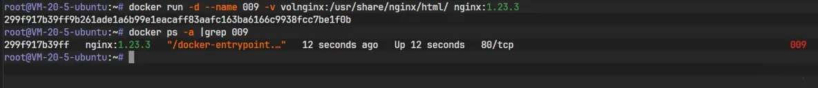 Docker存储卷深度解析：机制、管理与数据持久化实战 - 详解_docker_17