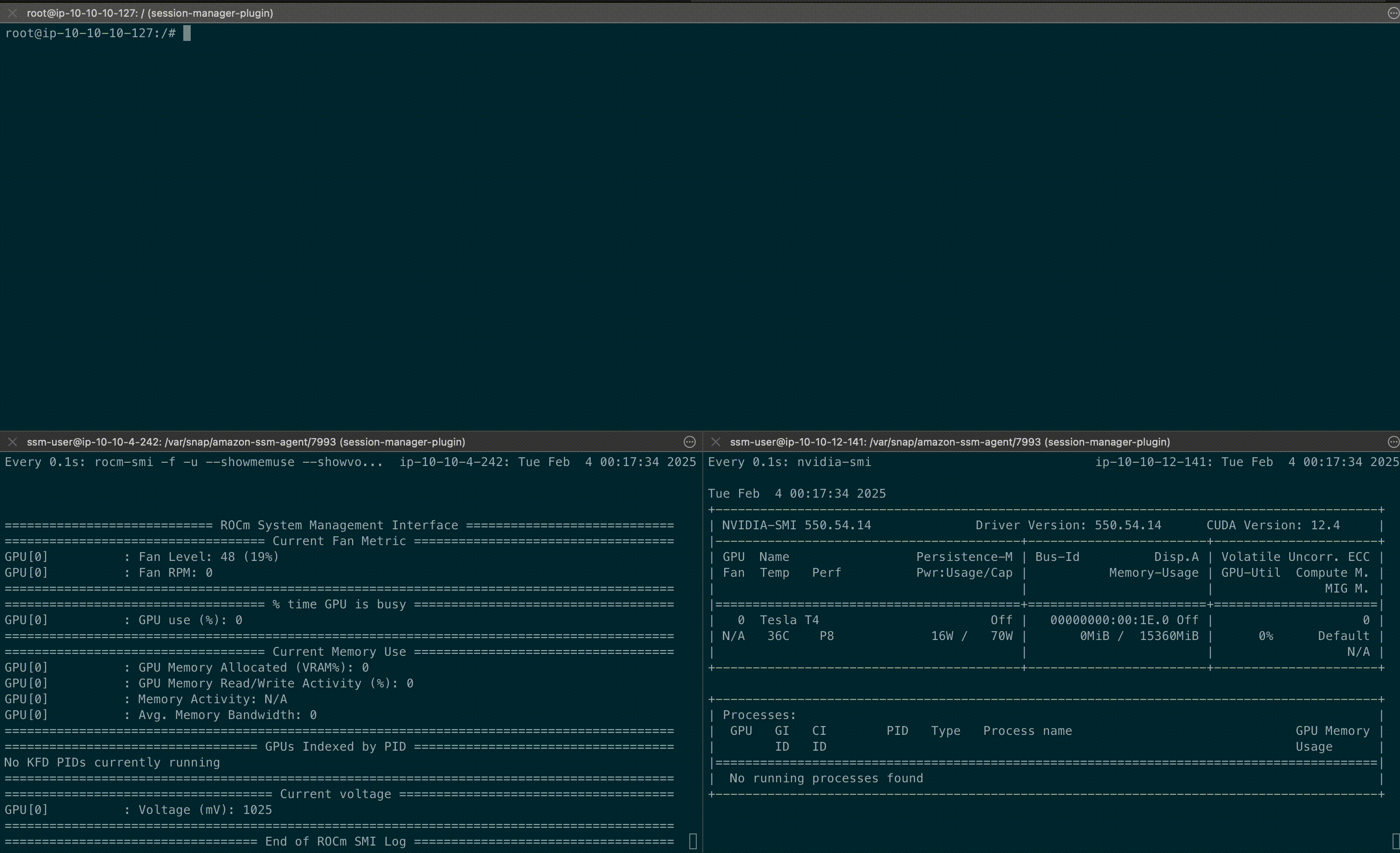 A video-gif displaying the recording of a terminal output for running PyTorch Distributed Data Parallel between NVIDIA GPU and AMD GPU nodes using mpirun launcher with GPU monitoring output of the nvidia-smi and rocm-smi command for the relevant node.