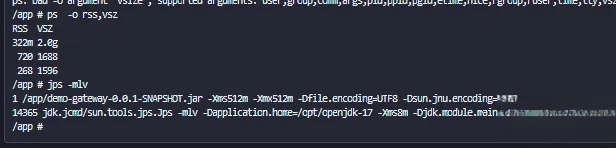 运维-容器化java应用进程内存使用问题排查与jvm调优_堆内存_03
