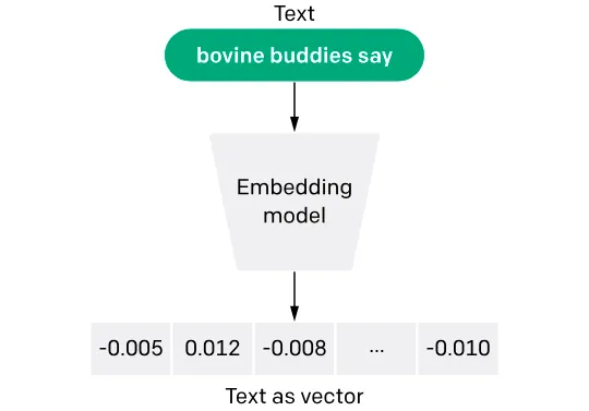 向开发者解释向量嵌入!_
