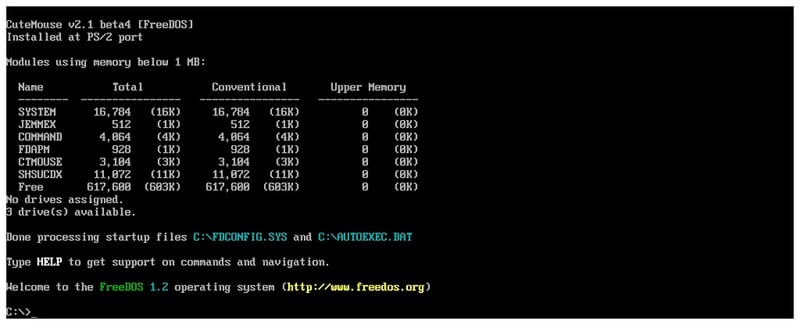 FreeDOS 运行在浏览器中，使用类似 DOS 的字体风格