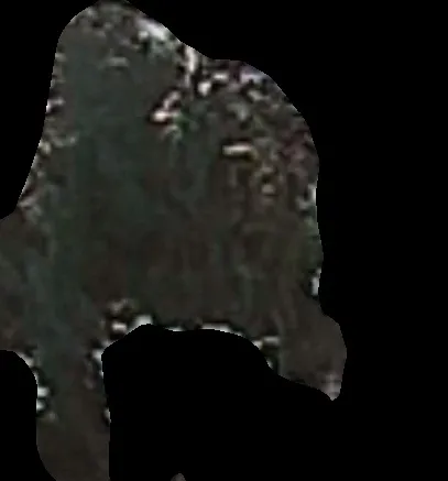 Crop of “an elephant” that really isn’t an elephant