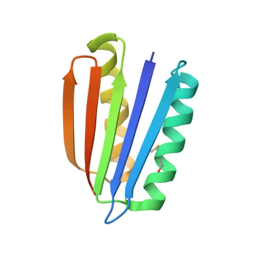 Ribbon diagram of the structure of Top7 protein.