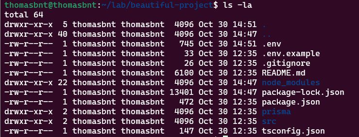 如何使用PrismaPostgres数据库服务?🚀详解指南_ 项目文件夹中的文件