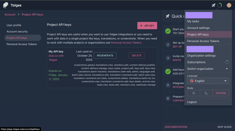 Tolgee 项目的 API 密钥