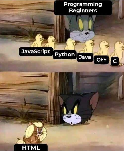 HTML 自称是编程语言，你相信吗？