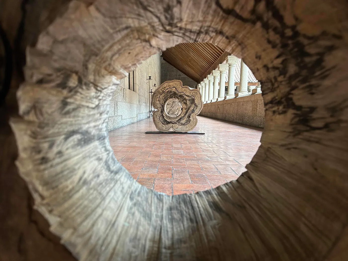 The image shows a view through a hollowed-out tree trunk, focusing on a cross-section of another tree trunk placed on a stand in the background. The scene is set in a corridor with stone walls and a tiled floor, featuring a row of columns and a slanted wooden roof. The perspective creates a tunnel-like effect, drawing attention to the intricate patterns and textures of the tree trunks.