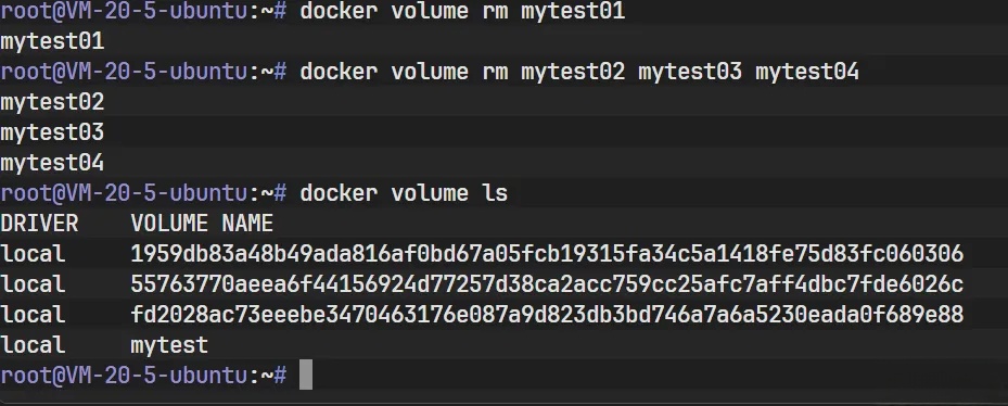 Docker存储卷深度解析：机制、管理与数据持久化实战 - 详解_nginx_15