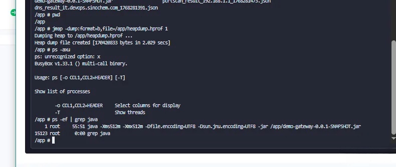 运维-容器化java应用进程内存使用问题排查与jvm调优_堆内存