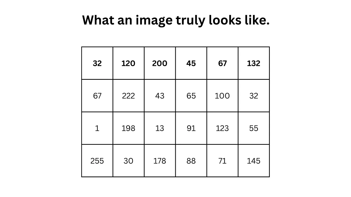 Matrix diagram demonstrating what an image truly looks like to a computer.