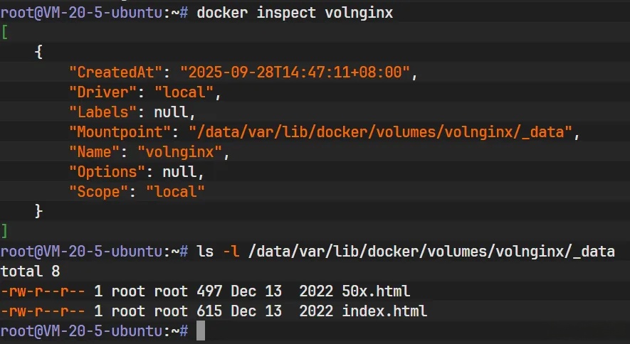 Docker存储卷深度解析：机制、管理与数据持久化实战 - 详解_nginx_19