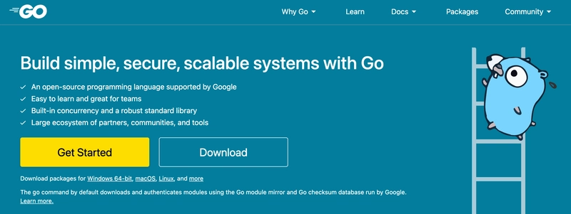 Golang (Go 语言)