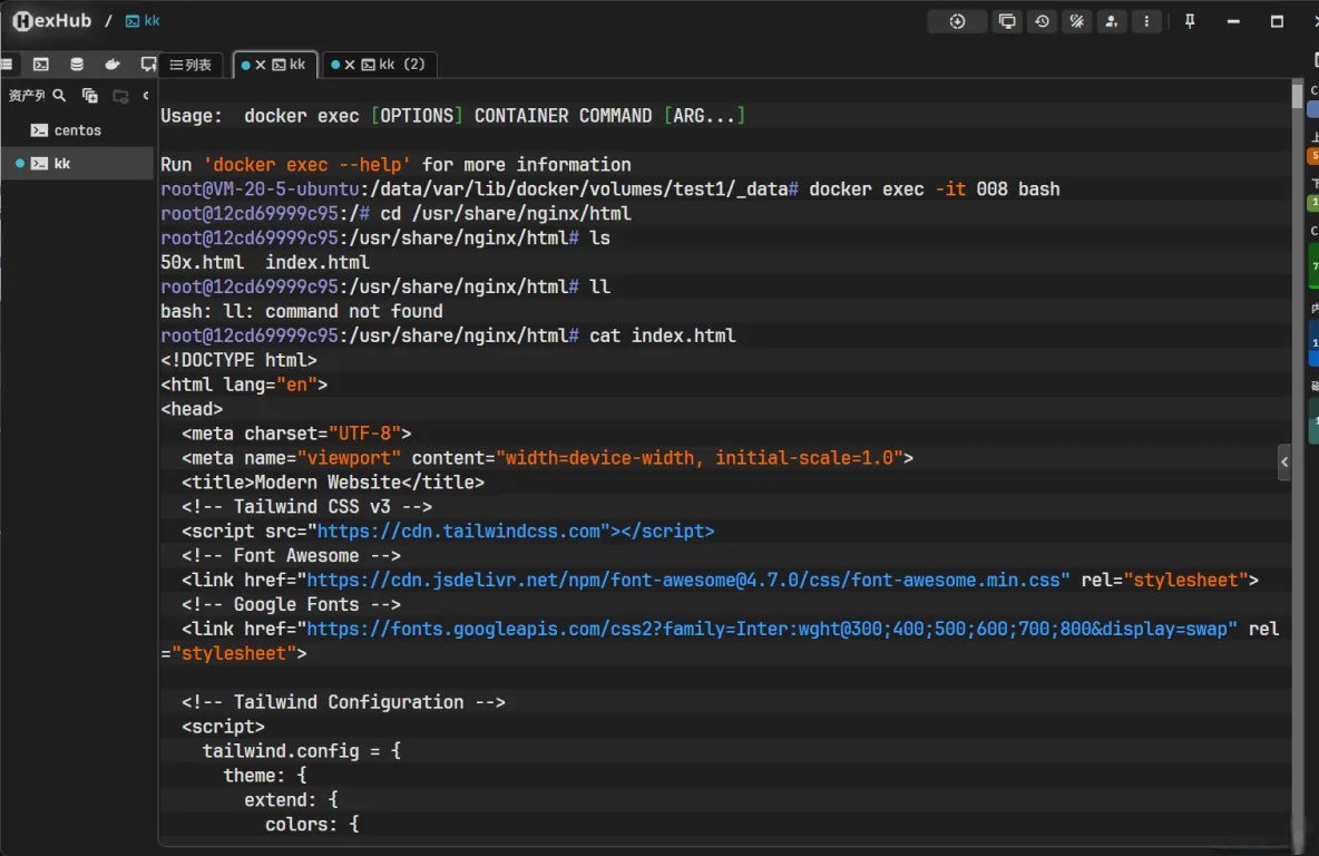 Docker存储卷深度解析：机制、管理与数据持久化实战 - 详解_nginx_31