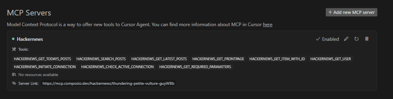 MCP 服务器确认图 (如下图所示)
