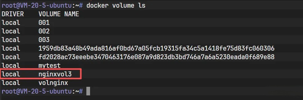 Docker存储卷深度解析：机制、管理与数据持久化实战 - 详解_nginx_22
