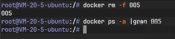 Docker存储卷深度解析：机制、管理与数据持久化实战 - 详解_Docker_35