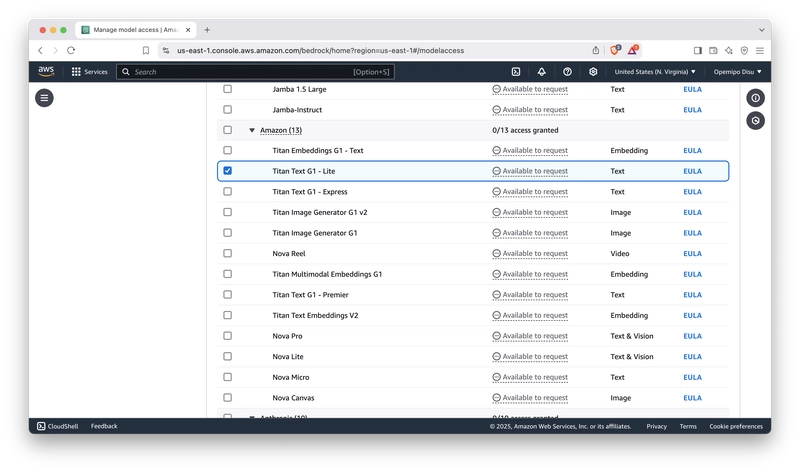 亚马逊Bedrock:开发者和DevOps工程师的实战指南_ 请求访问权限