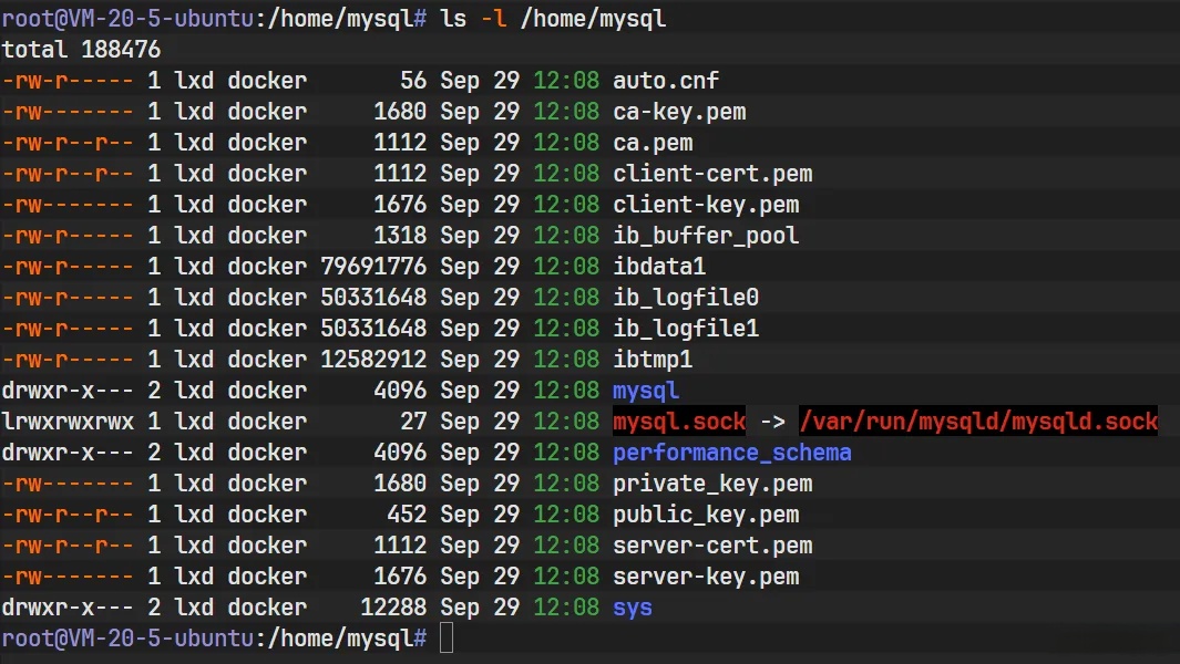 Docker存储卷深度解析：机制、管理与数据持久化实战 - 详解_nginx_59